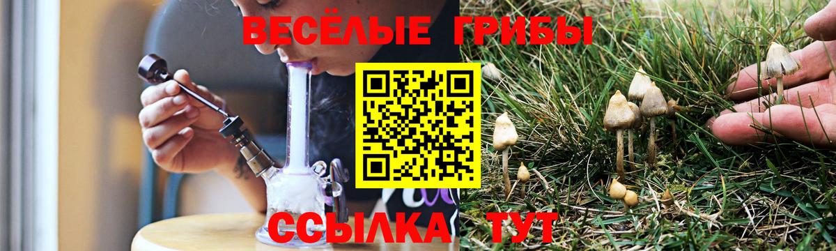 Псилоцибиновые грибы мицелий  Галлюциногенные грибы MAGIC MUSHROOMS  Вход с VPN  Воскресенск 